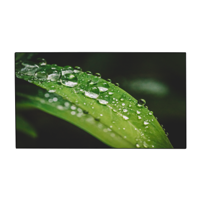 Bildschirmeinheit 65" für Videowall