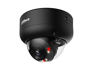 WizSense-Netzwerkkamera, Smart Dual Light 8MP Dome