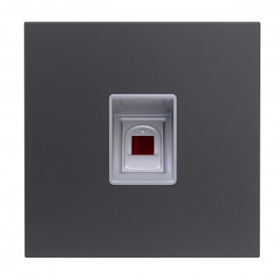 GOLIATH Hybrid IP & 2-Draht Fingerprint Modul Biometrisch Anthrazit