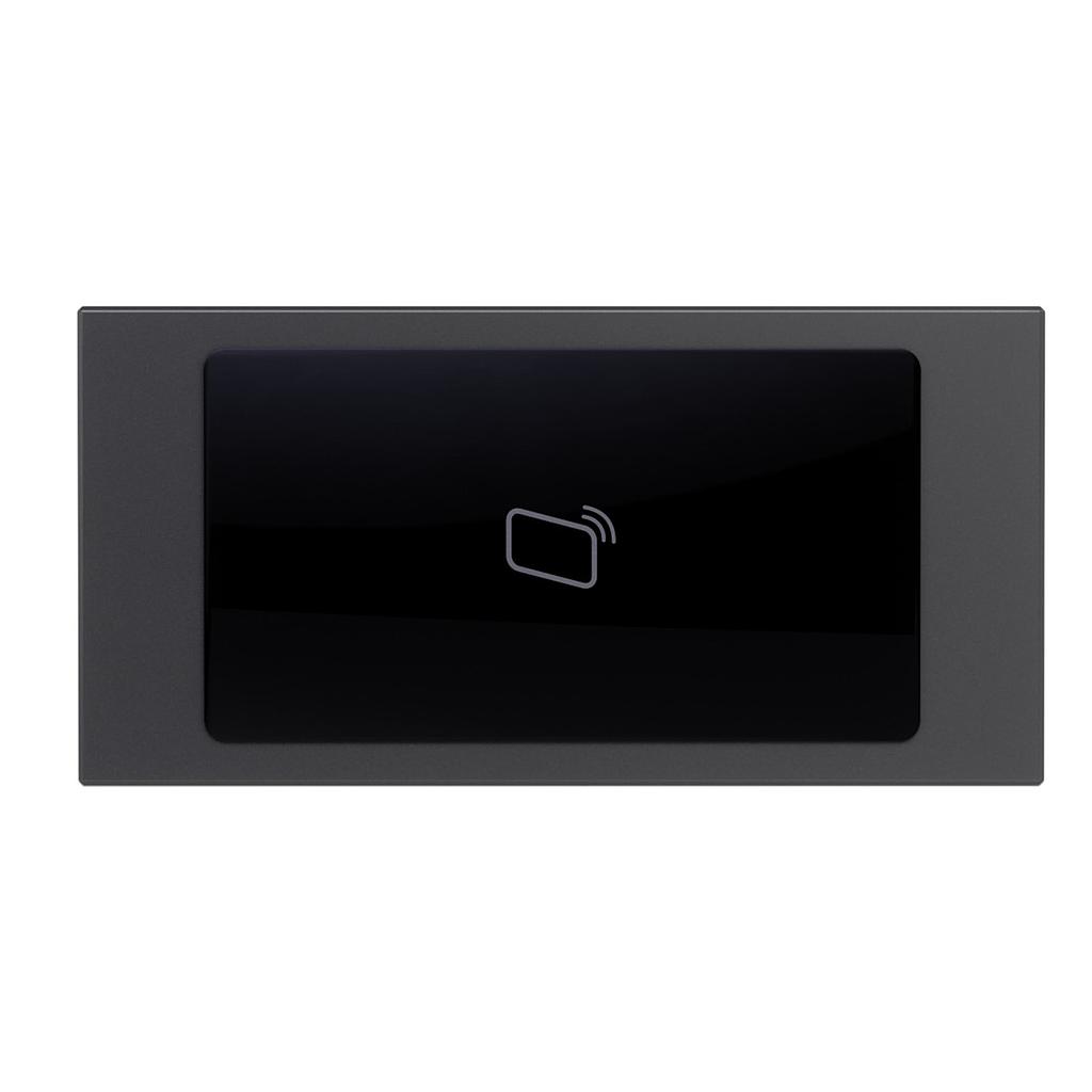 GOLIATH Hybrid IP & 2-Draht RFID Modul Anthrazit